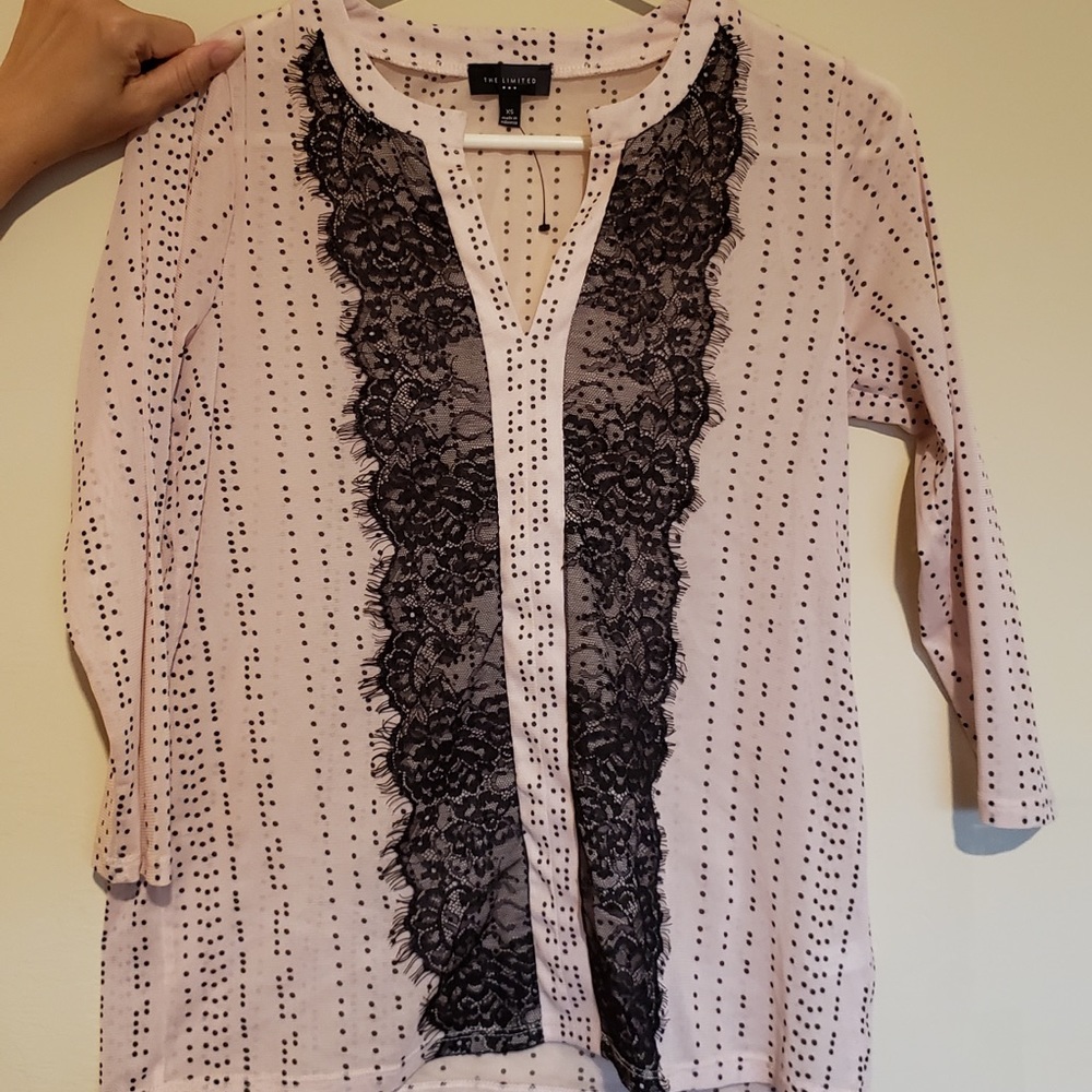 The Limited Pink and Black Sheer Blouse